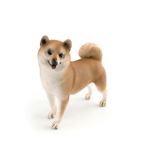 [L_R] Č VoCk  x[W / S11cm TCY ~j`A tBMA u f CeA RN^[ ͌^