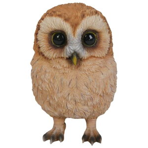 E[rA ԂtNE 8.2×9×12.8cm l` tBMA u Aj}  K[f  A 킢  H14093