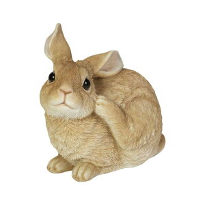 E[rA Ŋ~x[WETM 17×12×17cm l` tBMA u Aj}  K[f   H20138-3