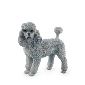 [L_R] v[h O[  ~j`A tBMA u f CeA RN^[ ͌^