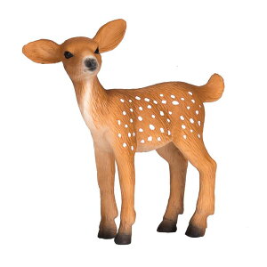 �t�B�M���A MOJO ANIMALPLANET �A�j�}���v���l�b�g ���� 387036