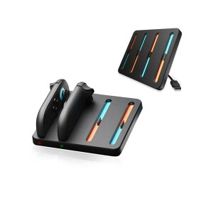 Savage Raven by Skull  Co. SWITCH2 JoyCon�[�d�h�b�N