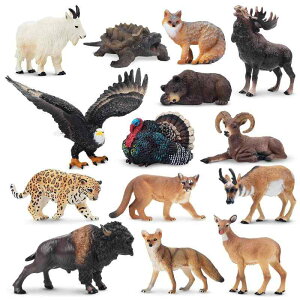 TOYMANY 14PCS ~jkAJ̖쐶tBMAAAȃWOfZbgA qO} wWJ WK[ ͌^ lC  ߋ av[g NX}X VN 蕨 R