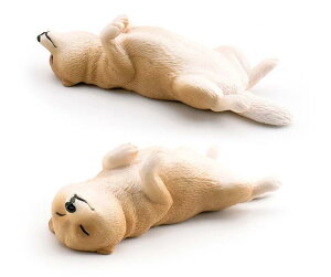 [L_R] Č Vo  ւV ~j`A tBMA u f CeA RN^[ ͌^