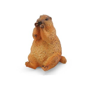 [L_R] }[bg Aj}  tBMA f ~j`A u CeA RN^[ ͌^