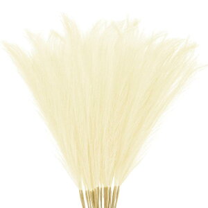 M METERXITY 20����t�F�C�N�p���p�X�O���X21.7/55cm�����ȃt�F�C�N�t���b�t�B�[�p���p�X�O���X�f�R�p���p�X�O���X�u �����`�ԕr�[�U�ޗ��z�[��/�E�F�f�B���O/�ԕr/�I�t�B�X/�p�[�e�B�[