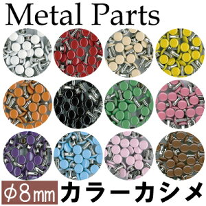 ʃJ[JV20(10mm)AK-15-8