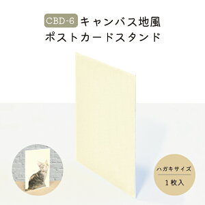LoXn|XgJ[hX^h CBD6 CBD-6[(lR|X)OKIs INAZUMA nhCh |  CeA v[g nKL t  ~jA[g ̓ ̓ LO  