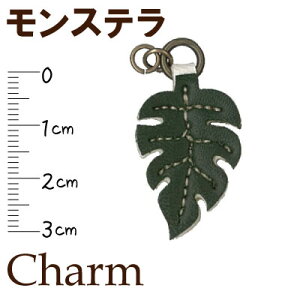 Xe̍`[s p[c | nhCh t@Xi[ t@Xi[