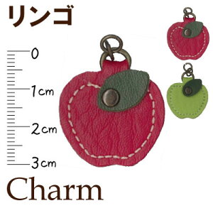 S̍`[ CF-1A s t@Xi[ t@Xi[  ь apple red green O[Abv   킢 tt t