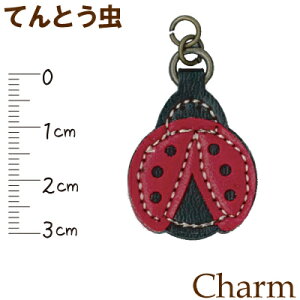 ĂƂ̍`[ CF-4A s p[c | nhCh t@Xi[ t@Xi[