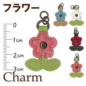  t[ ̍`[s p[c | nhCh t@Xi[ t@Xi[