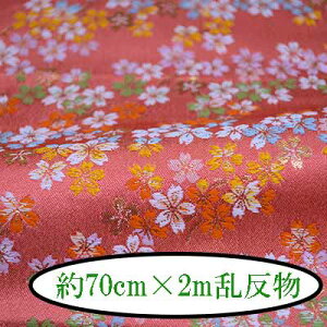 wDE 70cm×2m s wD E  2m INAZUMA t