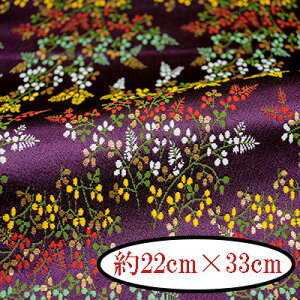 ���w�D ���E �J�b�g�N���X ���n ��22×��33cm 1�� SS-313