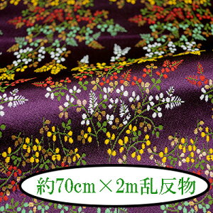 wDE 70cm×2m s wD E  2m INAZUMA t