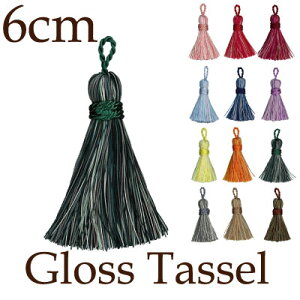 |GXe̖[AOX^bZB`[sAXXgbvɁBPET-6