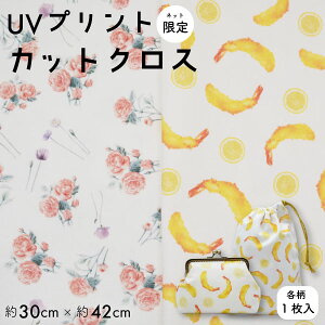 vgJbgNX@z 11 n 30×42cmJbg SG-PCS SGPCS sINAZUMA GrtC t[ o@rose ԕ В nhCh [(lR|X)OKI nhCh |  z n 