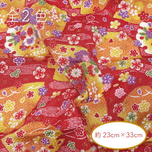 ߂񕿕Jbg  23cm×33cm C-181 s    ~  ÓT INAZUMA  t