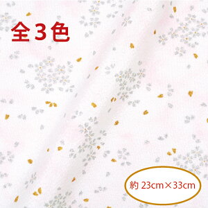 ߂񕿕Jbg  23cm×33cm CET-12 s z x  ETM V e t