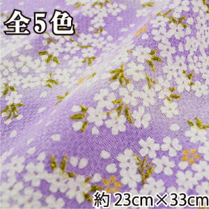 ߂񕿕Jbg  23cm×33cm K-5421~5425s 2019V    ڂ t