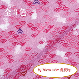 ߂񔽕 n70cm×6m x̂(ETM)̐Vsx  ETM V e 2023N xt