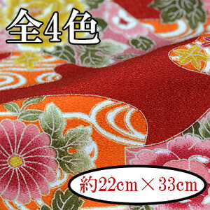 |GXe ߂ JbgNX n22cm×33cm