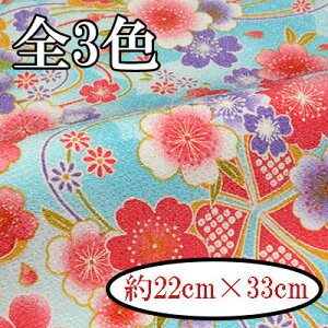 |GXe߂JbgNX n22cm×33cm SD-3