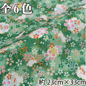 ߂񕿕Jbg  23cm×33cm C-142s ւɃETMƍ INAZUMA  t
