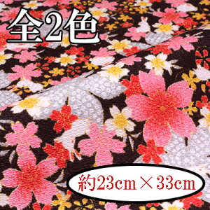 ߂񕿕Jbg  23cm×33cm C-153s Ɏ̎qƂ INAZUMA  t