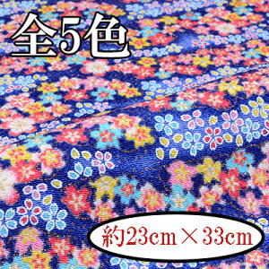 ߂񕿕Jbg  23cm×33cm C-156 s  INAZUMA  t