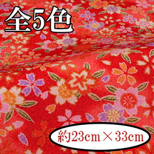 ߂񕿕Jbg  23cm×33cm C-163s  INAZUMA  t