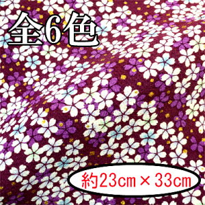 ߂񕿕Jbg  23cm×33cm K-5871s  INAZUMA  t