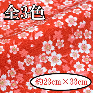 ߂񕿕Jbg  23cm×33cm K-5901s  INAZUMA  t