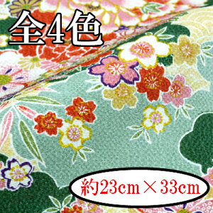 ߂񕿕Jbg  23cm×33cm M-2857s eƍ INAZUMA  t