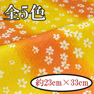 ߂񕿕Jbg  23cm×33cm MU-1s Ɏш^ INAZUMA  t