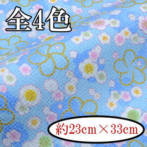 ������߂񕿕��J�b�g ���� ��23cm×33cm NS-NE �b INAZUMA ���