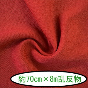 ߂񖳒n #2 n70cm×8m 1{