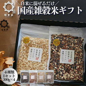 y`bNܕtIۑ֗Iz ܍ G Y Oet[ v[g Mtg 300g×4 G Ñ   pbN j ԕ  Y   oYj  