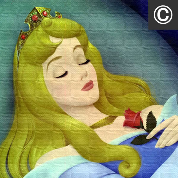 ディズニー Hash様専用 証明書付 絵画 眠れる森の美女 セル画