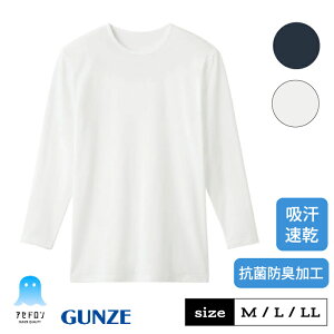 O[ AZh Ci[Vc  ێ Y z  ׂȂ   N[lbN Vc d rWlX MCA608P M L LL