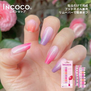 yMAX30%OFF{ 9111:59܂ŁzlCV[ \邾 dsv CRR }jLA sN lC  fUClC t[c^g  tbglC ZtlC ZlC INC