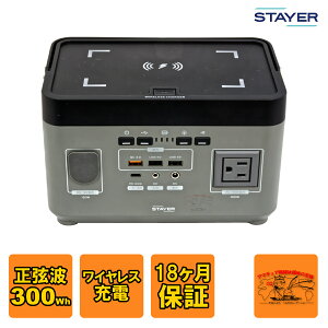 ST-POBTTY-300W-GL STAYER CX[d |[^ud g 300W AC100V{dliO[j