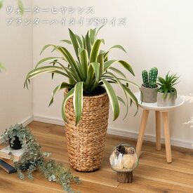 プランター ウォーターヒヤシンス 鉢 インテリア アジアン 観葉植物 入れ カバー 雑貨 ブラウン 室内 植木鉢 茶色 おしゃれ シンプル ポット ナチュラル 編み 収納 円型 鉢植え 植木 植物 グリーン 花台 円形 リゾート かご 園芸 北欧 オフィス キッチン カフェ 完成品