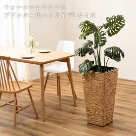 プランター ウォーターヒヤシンス 鉢 インテリア アジアン 観葉植物 入れ カバー 雑貨 ブラウン 室内 植木鉢 茶色 おしゃれ シンプル ポット ナチュラル 編み 収納 円型 鉢植え 植木 植物 グリーン 花台 円形 リゾート かご 園芸 北欧 オフィス キッチン カフェ 完成品