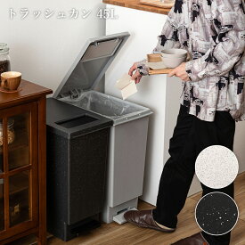 【先着半額クーポン】ごみ箱 ダストボックス ごみ ペダル バケツ 袋止め付き 石目調 コンパクト 45L プッシュ蓋 幅26.5cm 高さ45.5cm 奥行き55.5cm グレー ベージュ グリーン オリーブ コンパクト シンプル インテリア おしゃれ