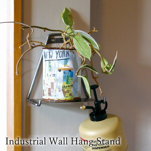 tbNt ANZT[ fBXvC X`[ NG Creer |XgWFl 982260016 Ǌ| EH[nOX^h g[ AeB[N Be[W re[W 킢  L