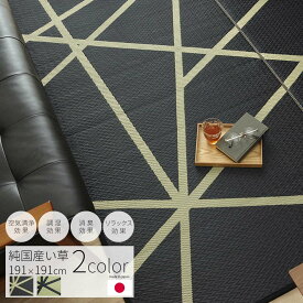 【MAX1500円OFFクーポン】い草ラグ 国産 191×191cm 日本製 い草 天然 自然素材 ラグ カーペット 調湿 空気清浄 消臭 抗菌 防臭 リラックス 洗濯不可 おしゃれ シック モダン デザイン リビング 和風 和室 洋室 グリーン 黒 ブラック 緑 夏 オールシーズン ウレタン 正方形