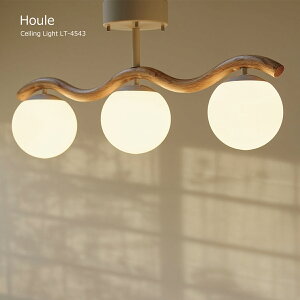 V[OCg  k Houle E[ LT-4543 Mt LEDΉ KX i` _ Be[W AeB[N 킢 Ɩ VƖ Vv ~bhZ`[ _C