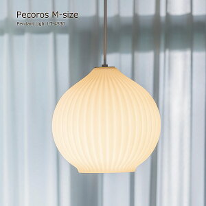 y撅zN[|zy_gCg  k Pecoros yRX MTCY LT-4530 LEDdt KX 킢 ܂˂ Ɩ VƖ Vv ~j} ~bhZ`[ _Cj