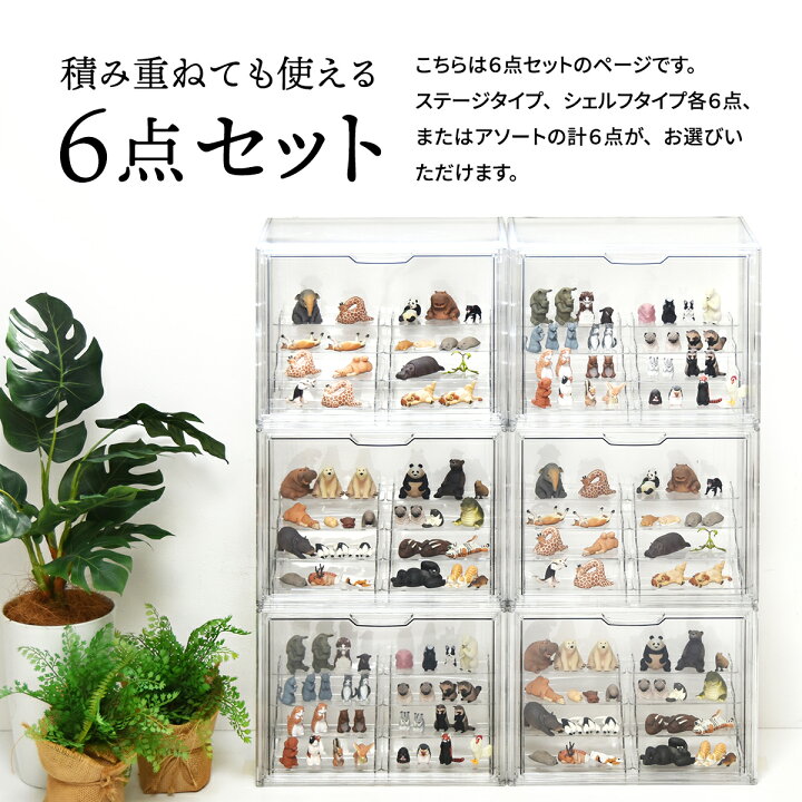 楽天市場】ディスプレイケース 【6個セット】 棚付き 透明 クリア 